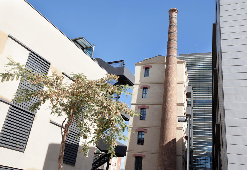 Sealona Beach Lofts Apartments Barcelona Kamer foto